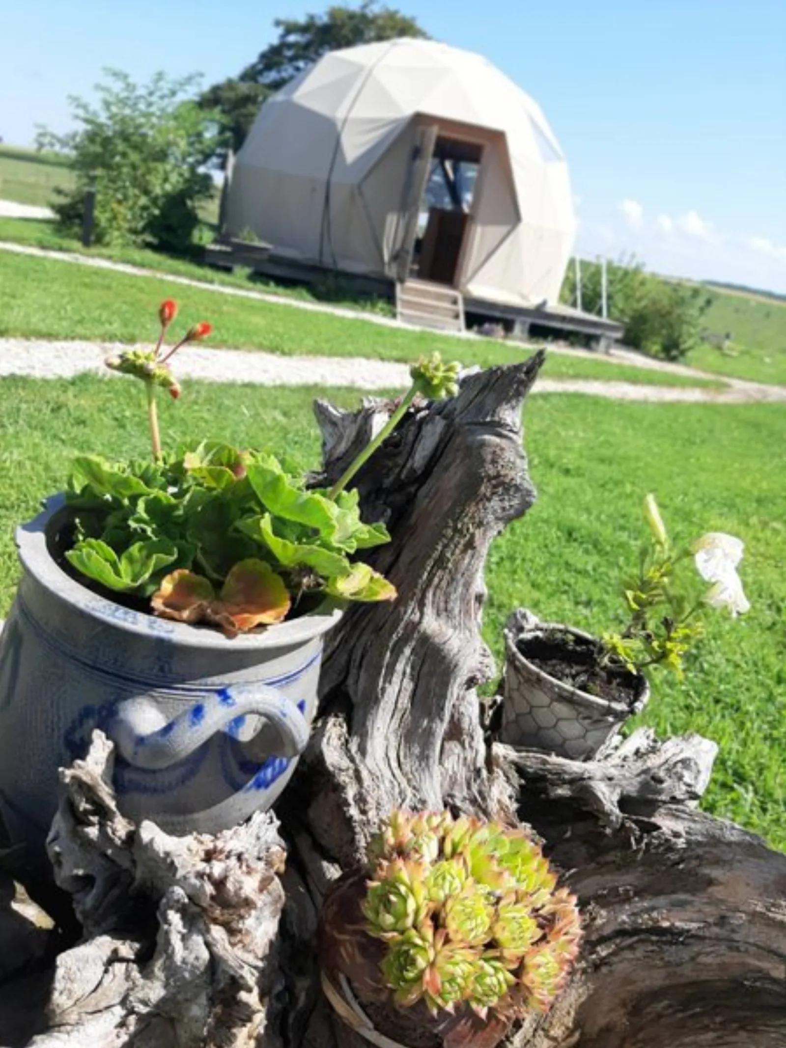 Dôme Céleste : Dôme en Champagne-Ardenne (Grand Est) - vue extérieure