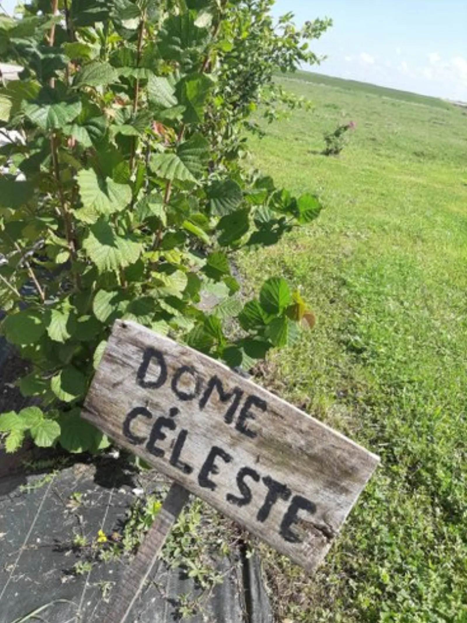 Dôme Céleste : Dôme en Champagne-Ardenne (Grand Est) - photo 9 sur 19
