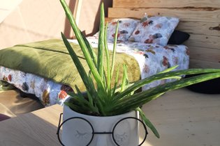 Dôme Céleste : Dôme en Champagne-Ardenne (Grand Est) – photo 15 sur 19