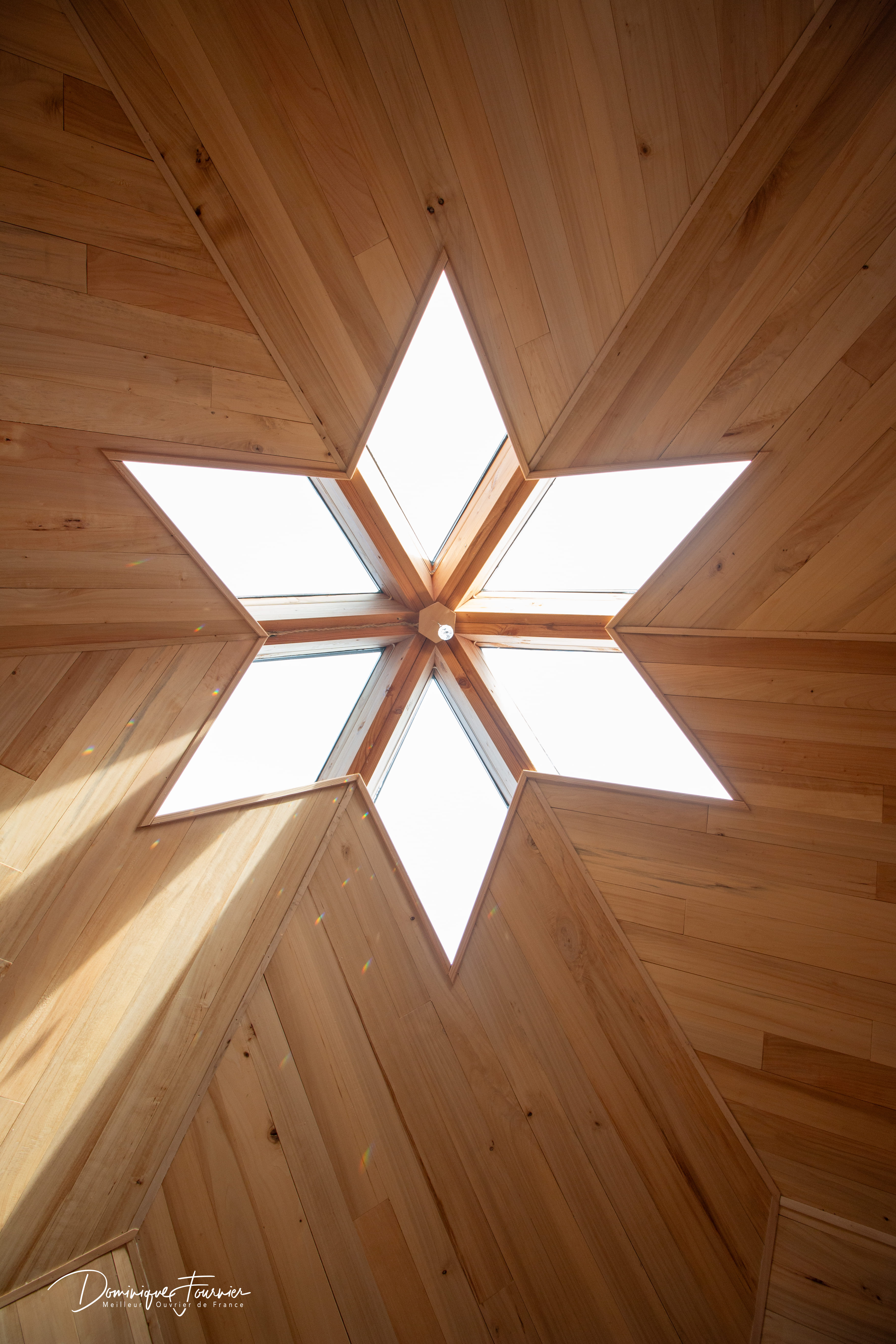 Apizome - Vue panoramique sur les Pyrénées – photo 7 sur 10