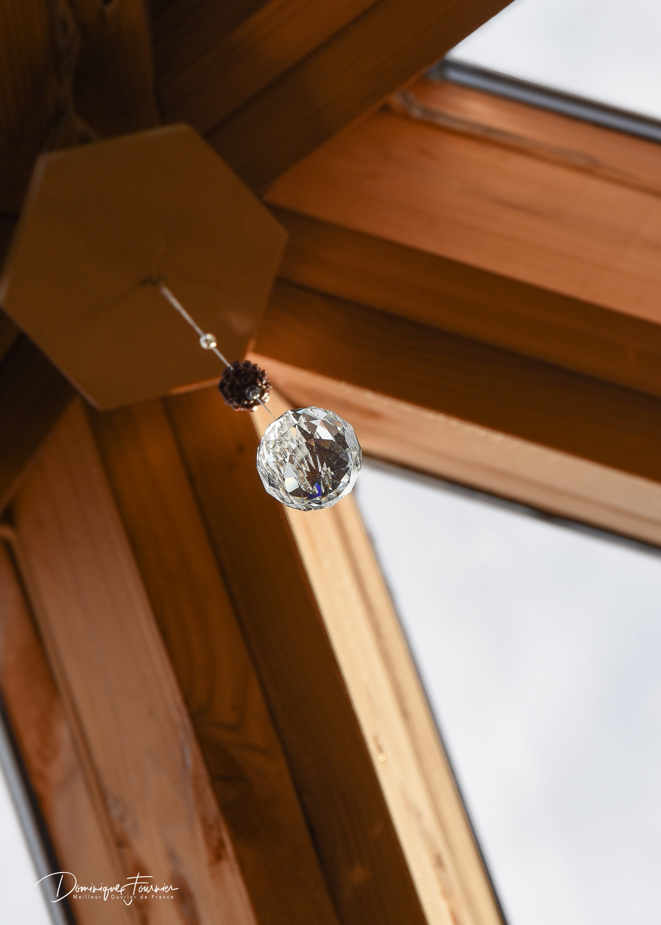 Apizome - Vue panoramique sur les Pyrénées – photo 9 sur 10