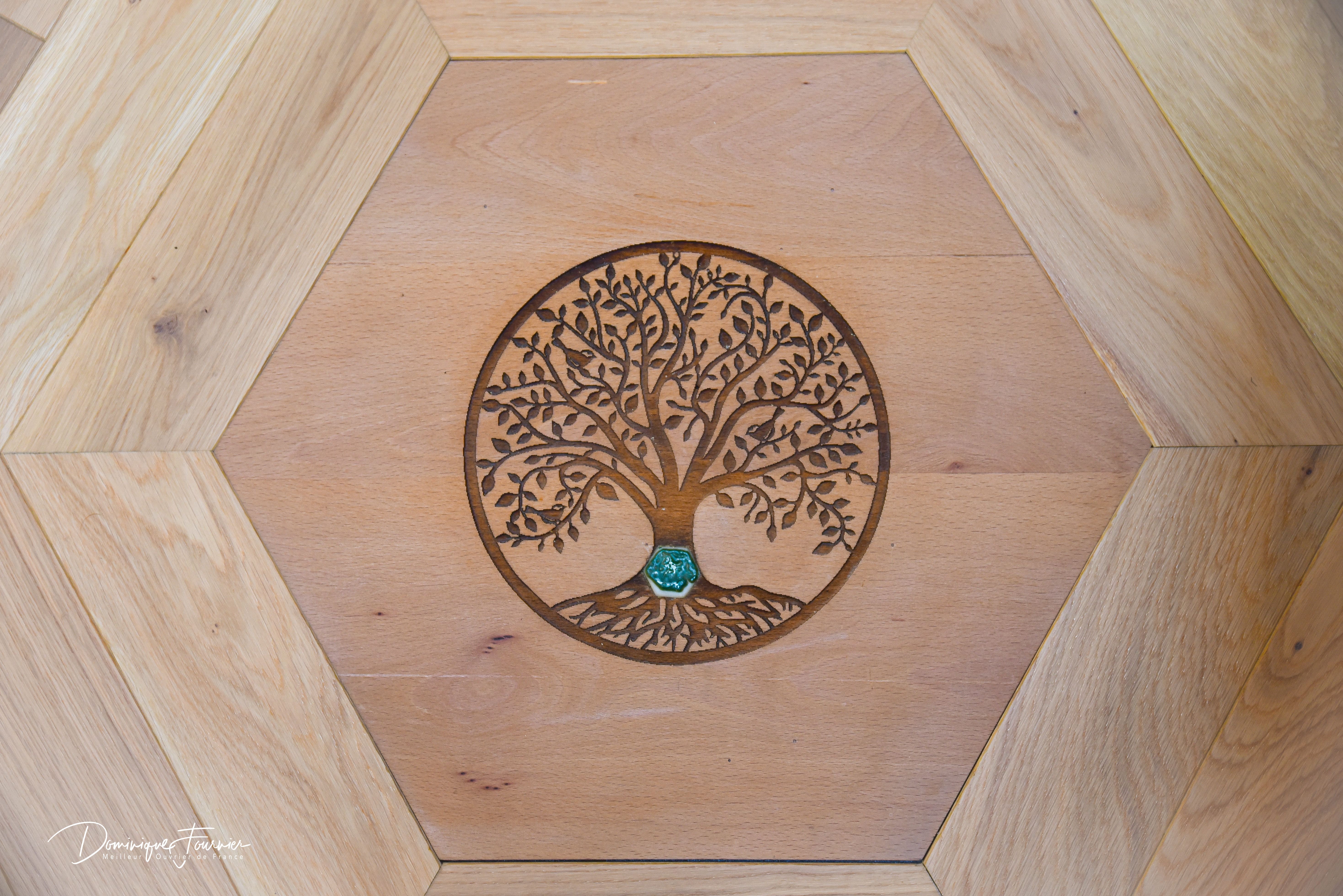 Apizome - Vue panoramique sur les Pyrénées – photo 10 sur 10