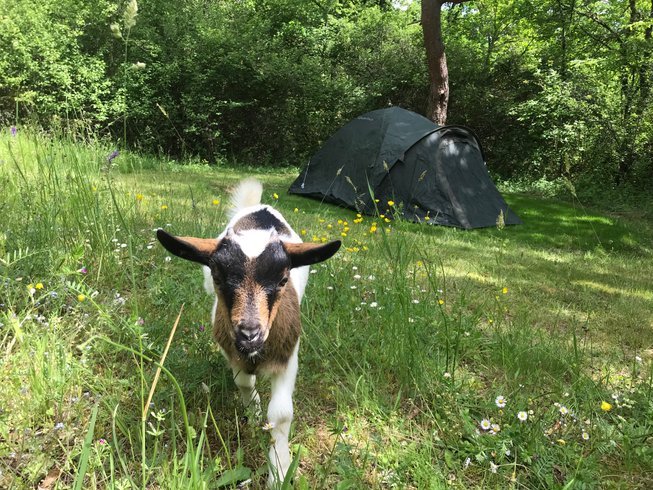 Le Do' dôme : Dôme en Aquitaine (Nouvelle Aquitaine) – photo 14 sur 22