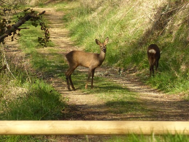 Le Do' dôme : Dôme en Aquitaine (Nouvelle Aquitaine) – photo 15 sur 22