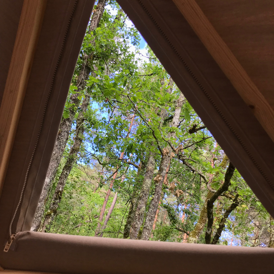 Arborea, nuits éco-insolites chez l'habitant – photo 7 sur 22