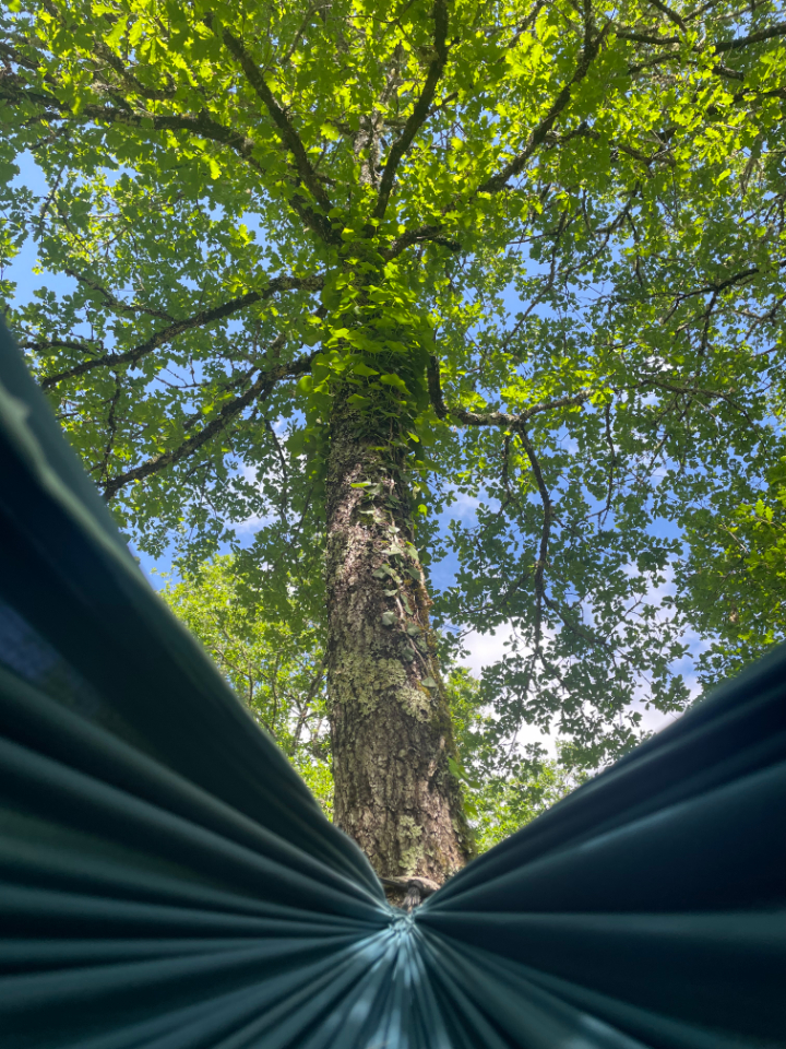 Arborea, nuits éco-insolites chez l'habitant – photo 11 sur 22