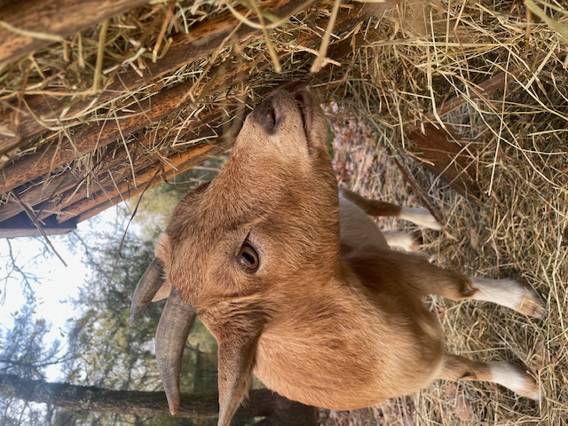 Arborea, nuits éco-insolites chez l'habitant – photo 18 sur 22