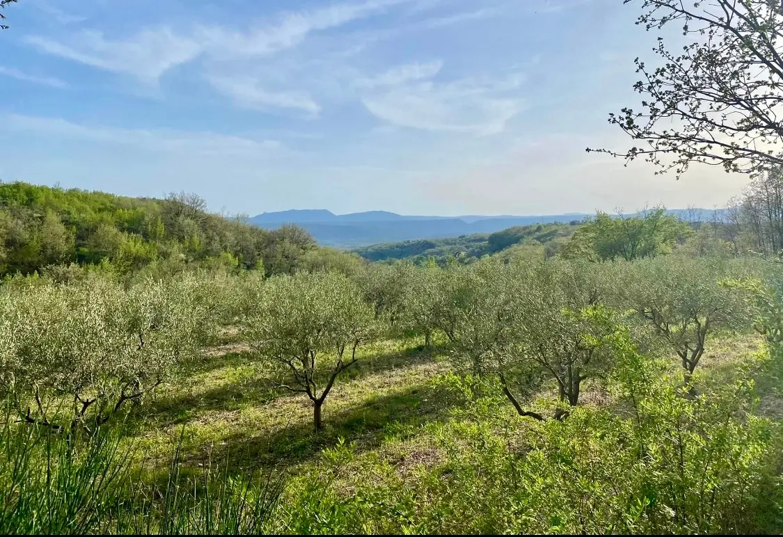 Au bord du monde - Éco-dômes dans un bois de chênes (Saint-Privat, Hérault) - photo 7 sur 22