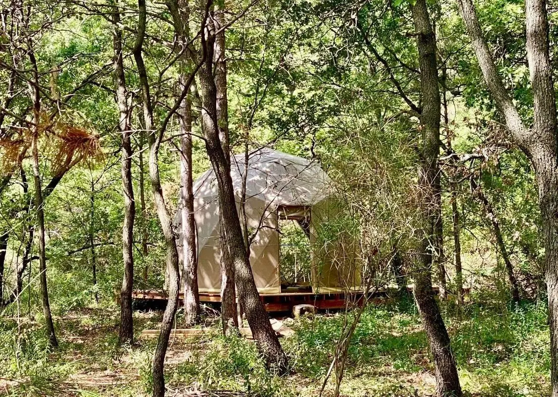 Au bord du monde - Éco-dômes dans un bois de chênes (Saint-Privat, Hérault) - photo 12 sur 22