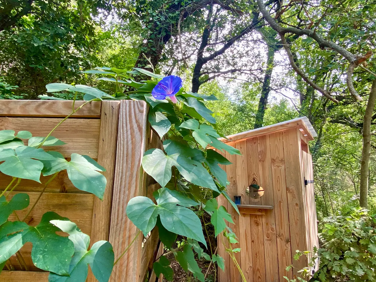 Au bord du monde - Éco-dômes dans un bois de chênes (Saint-Privat, Hérault) - photo 20 sur 22