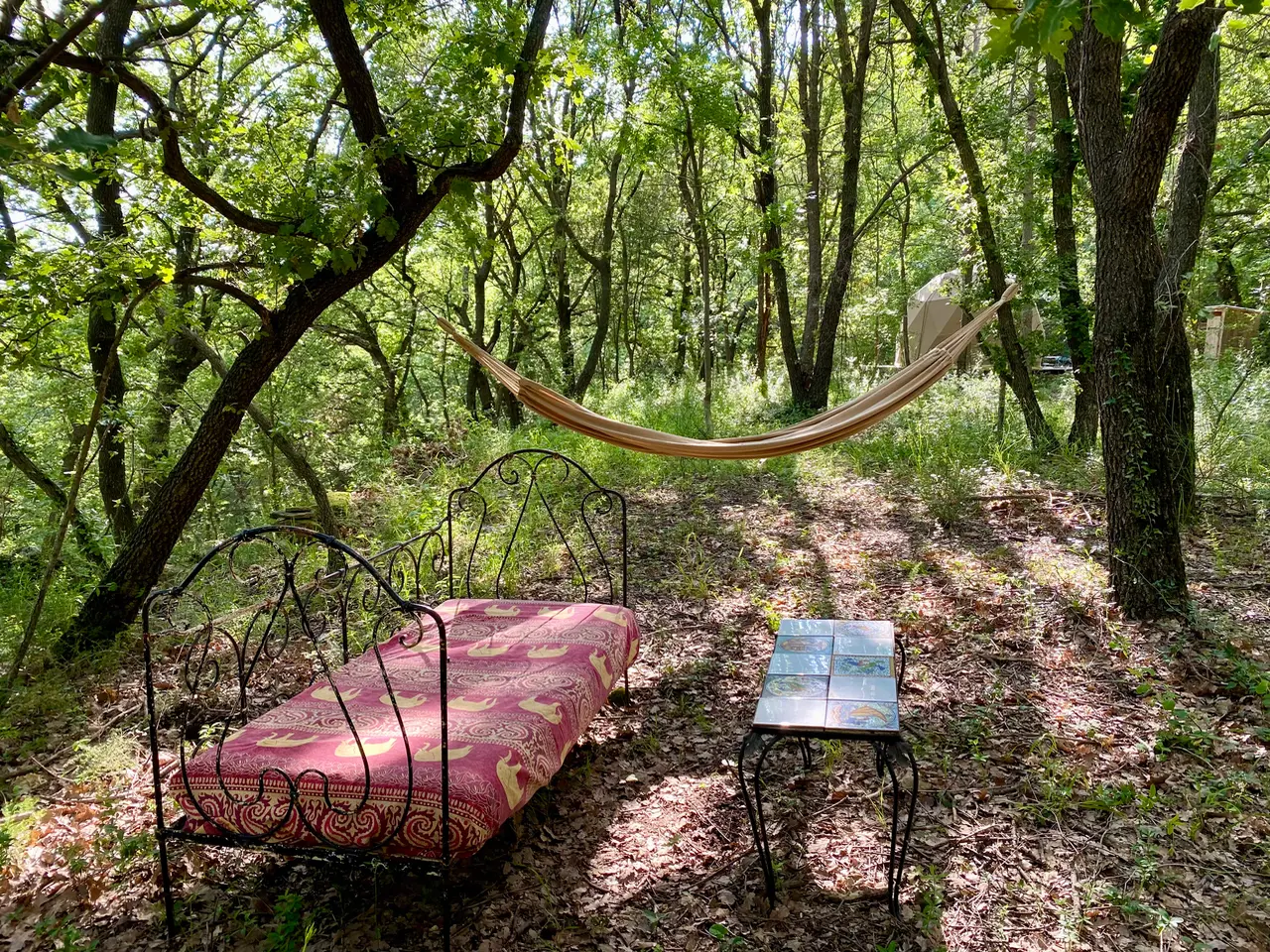 Au bord du monde - Éco-dômes dans un bois de chênes (Saint-Privat, Hérault) - photo 22 sur 22