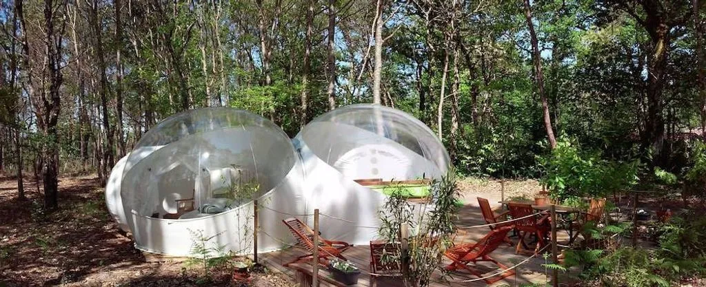 Au Pays des Bulles - Bulles avec terrasse et restaurant sur place (Montendre, Charente-Maritime) - photo 26 sur 49