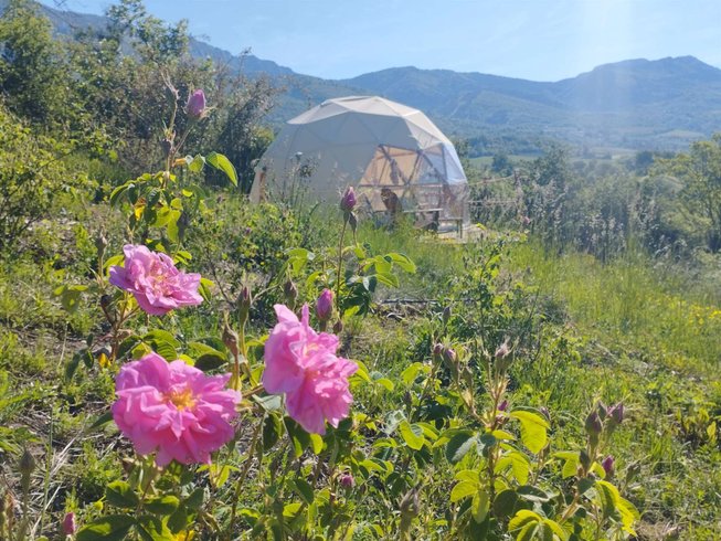 Chambre dôme sous les étoiles à St Sauveur Gouvernet