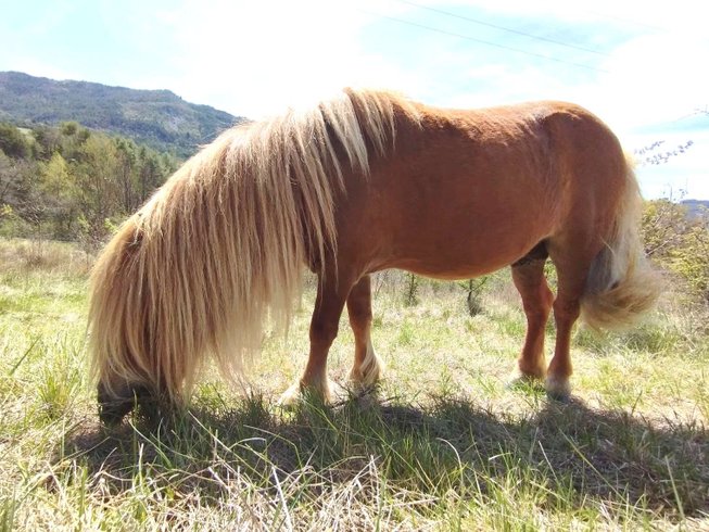 Dôme & Spa en Drôme provençale : Dôme en Rhône-Alpes (Auvergne-Rhône-Alpes) – photo 9 sur 25