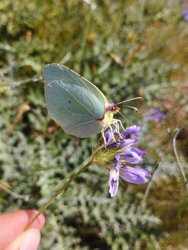 Dôme & Spa en Drôme provençale : Dôme en Rhône-Alpes (Auvergne-Rhône-Alpes) – photo 16 sur 25