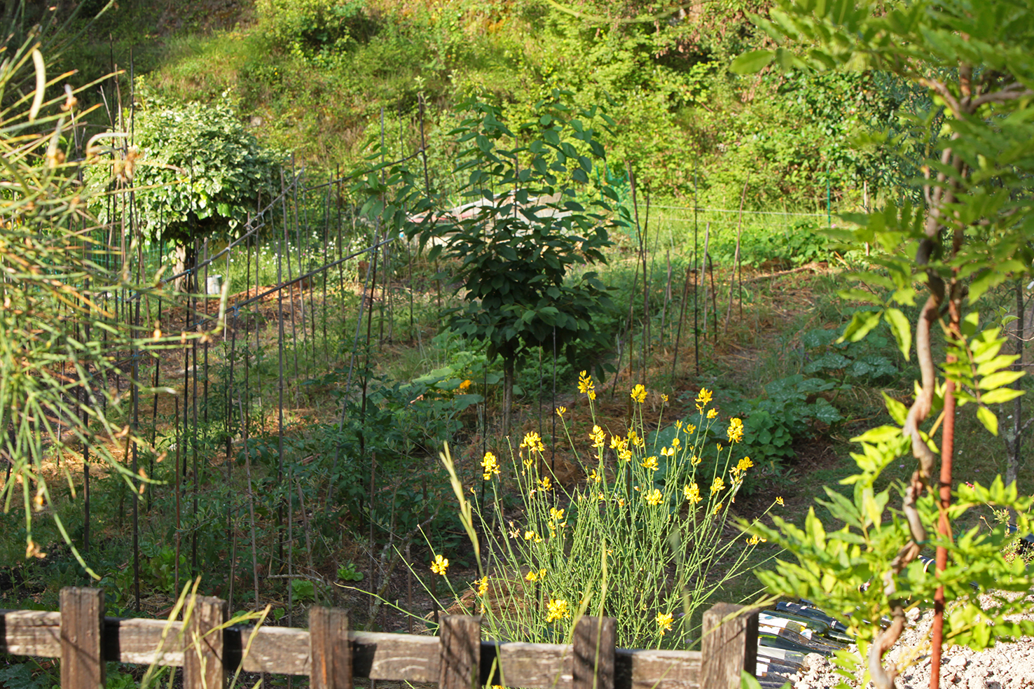 Aventures Intérieures Coaraze – photo 14 sur 40