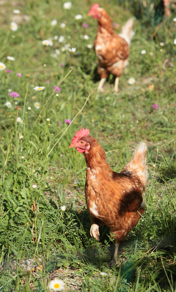 Aventures Intérieures Coaraze – photo 15 sur 40