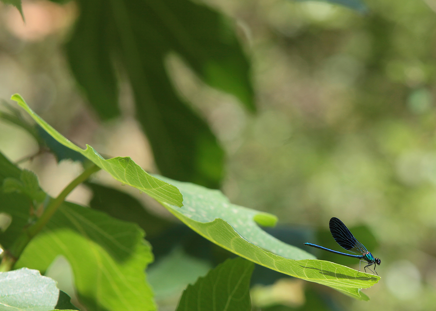 Aventures Intérieures Coaraze – photo 17 sur 40