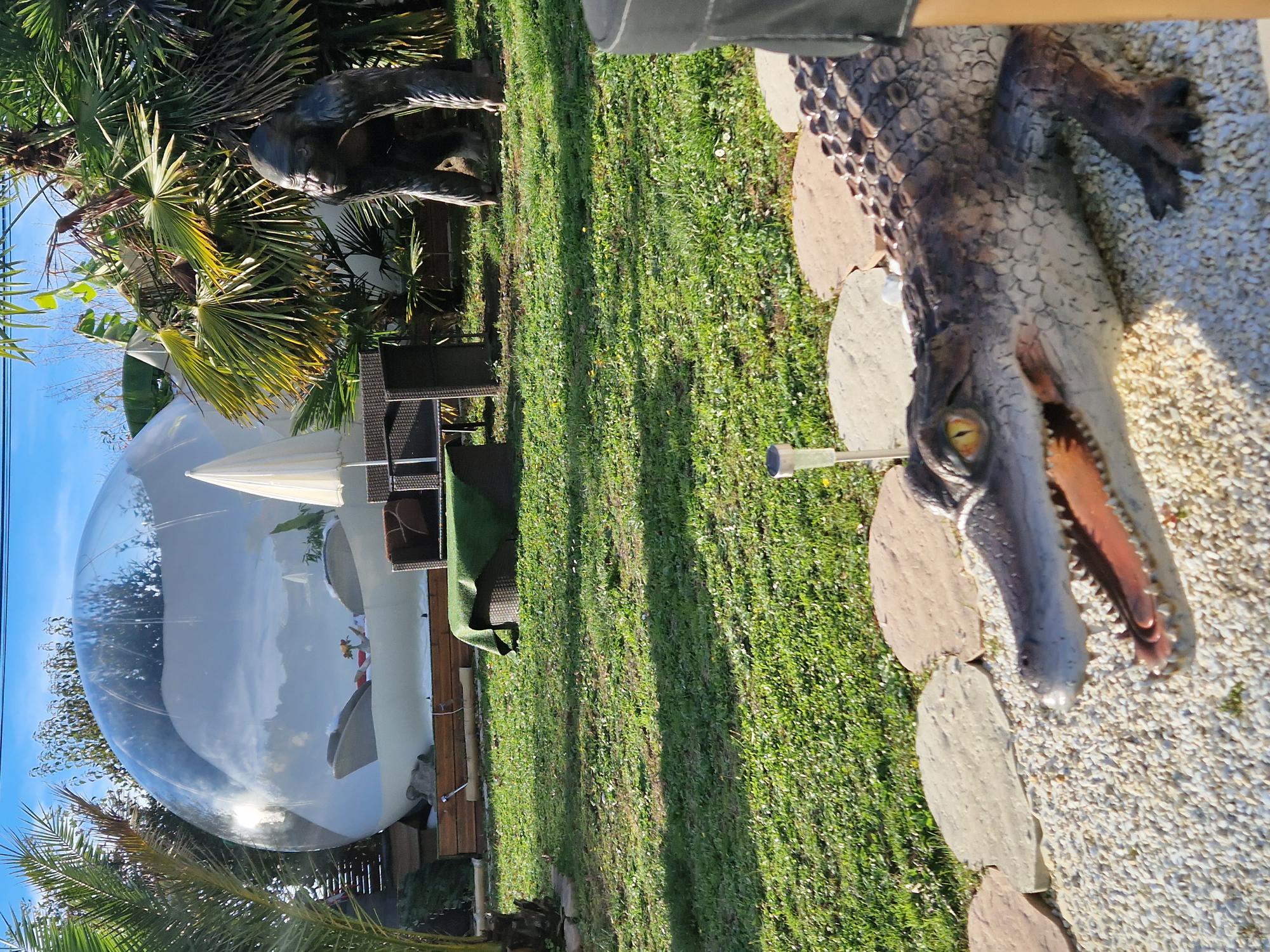 Chambre bulle sous les étoiles à Morganx