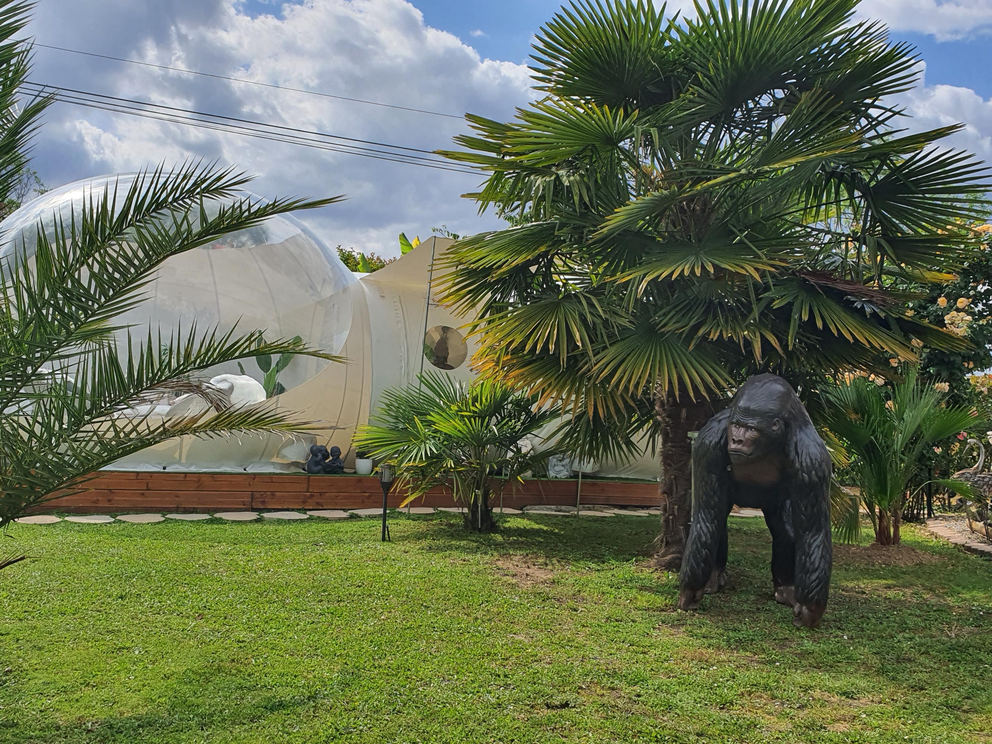 bulle insolite Landes – photo 5