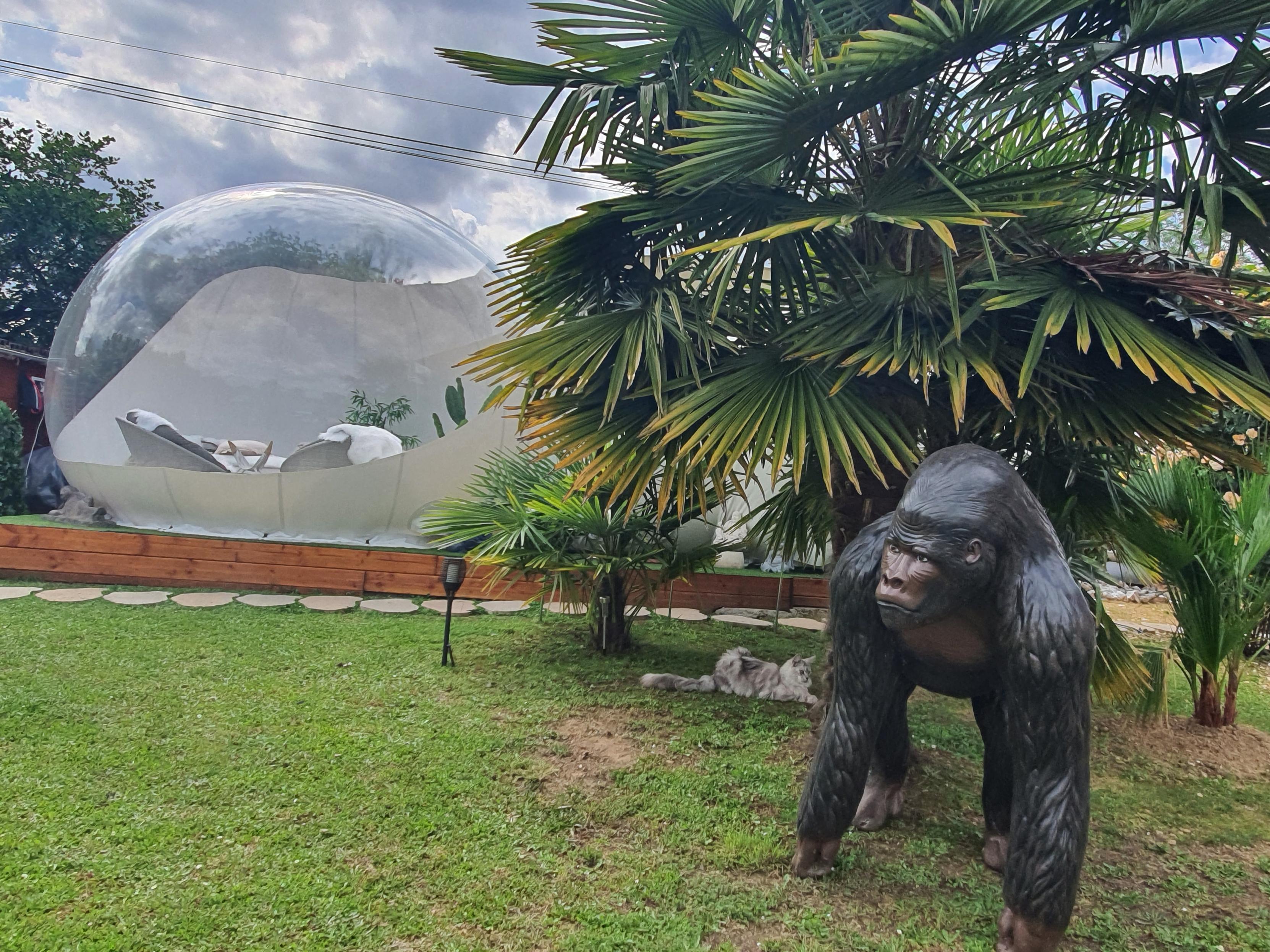 Bali'Bulle bulle insoilite – photo 8 sur 32