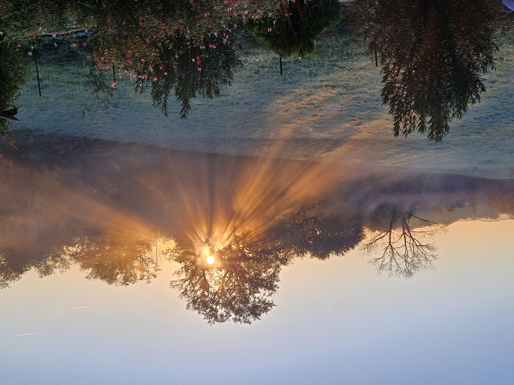 Bali'Bulle bulle insoilite – photo 16 sur 32