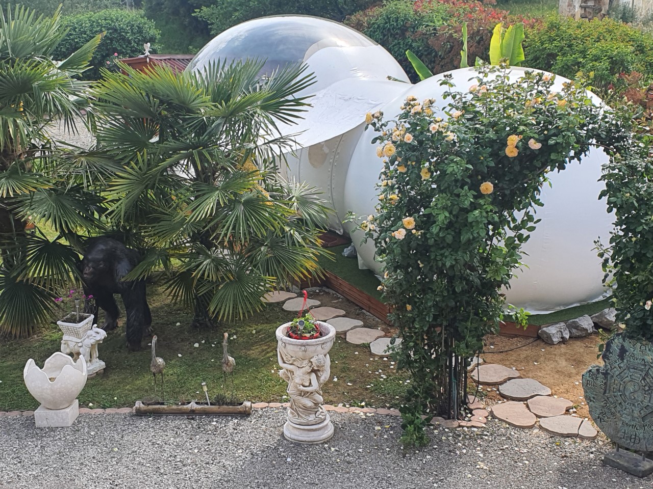 Bali'Bulle bulle insoilite – photo 21 sur 32