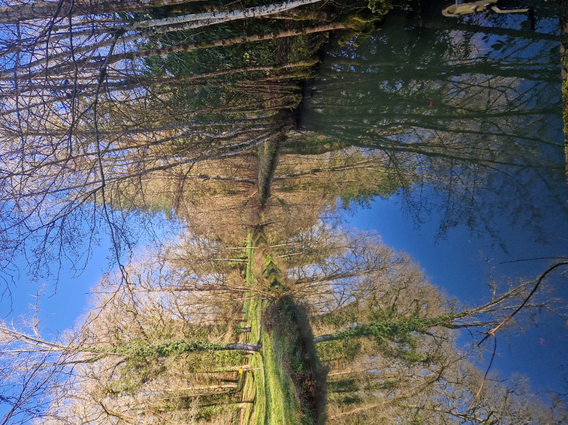 Bali'Bulle bulle insoilite – photo 22 sur 32