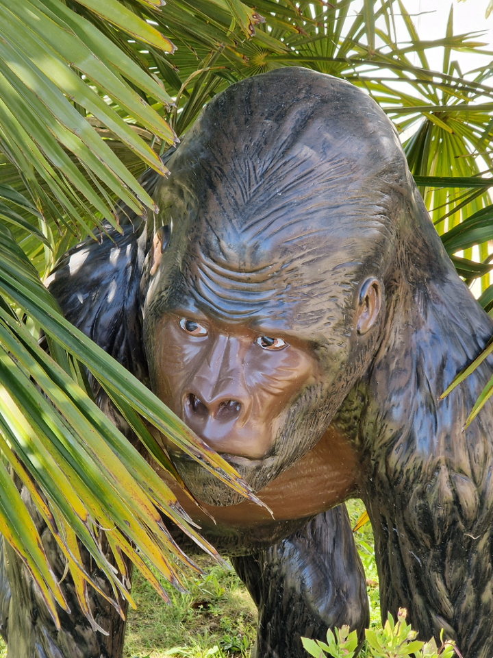 Bali'Bulle bulle insoilite – photo 23 sur 32