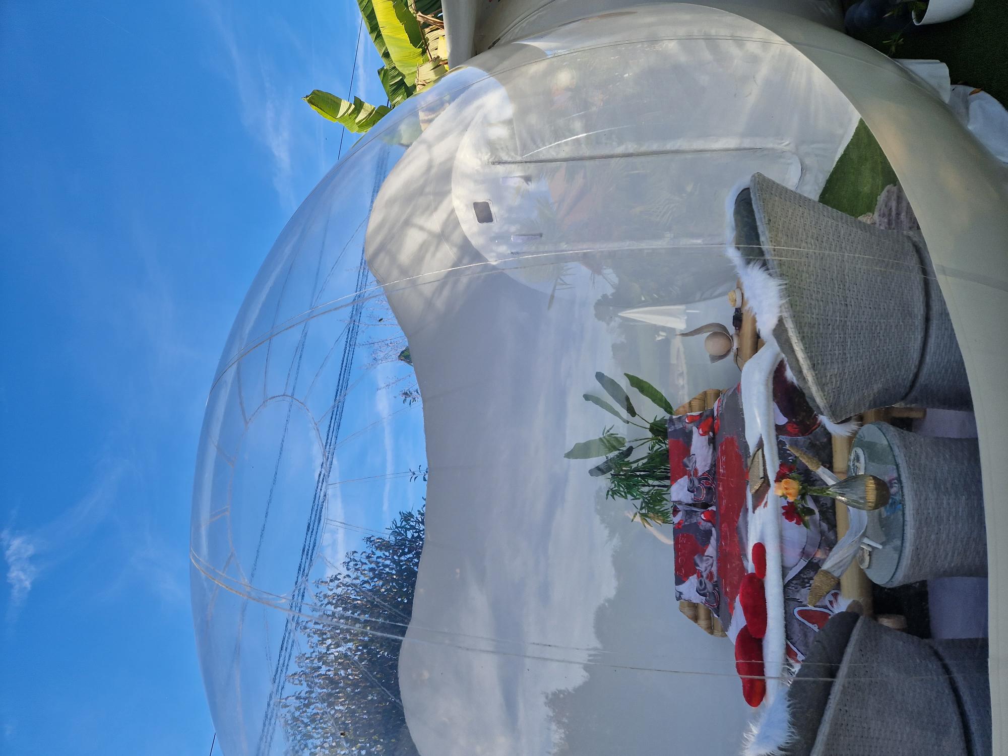 Bali Bulle – cadre naturel Landes