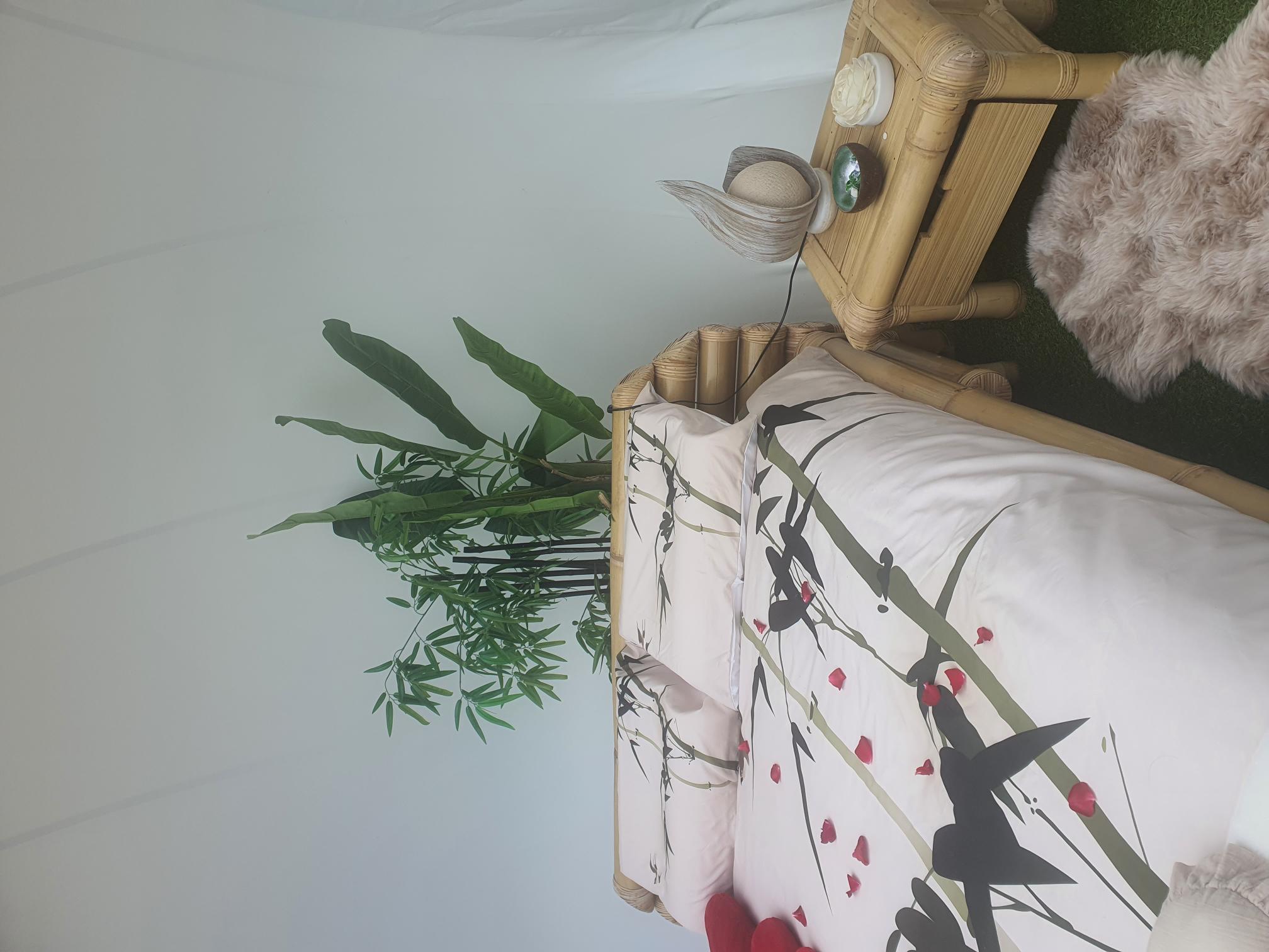 bulle insolite Landes – photo 5