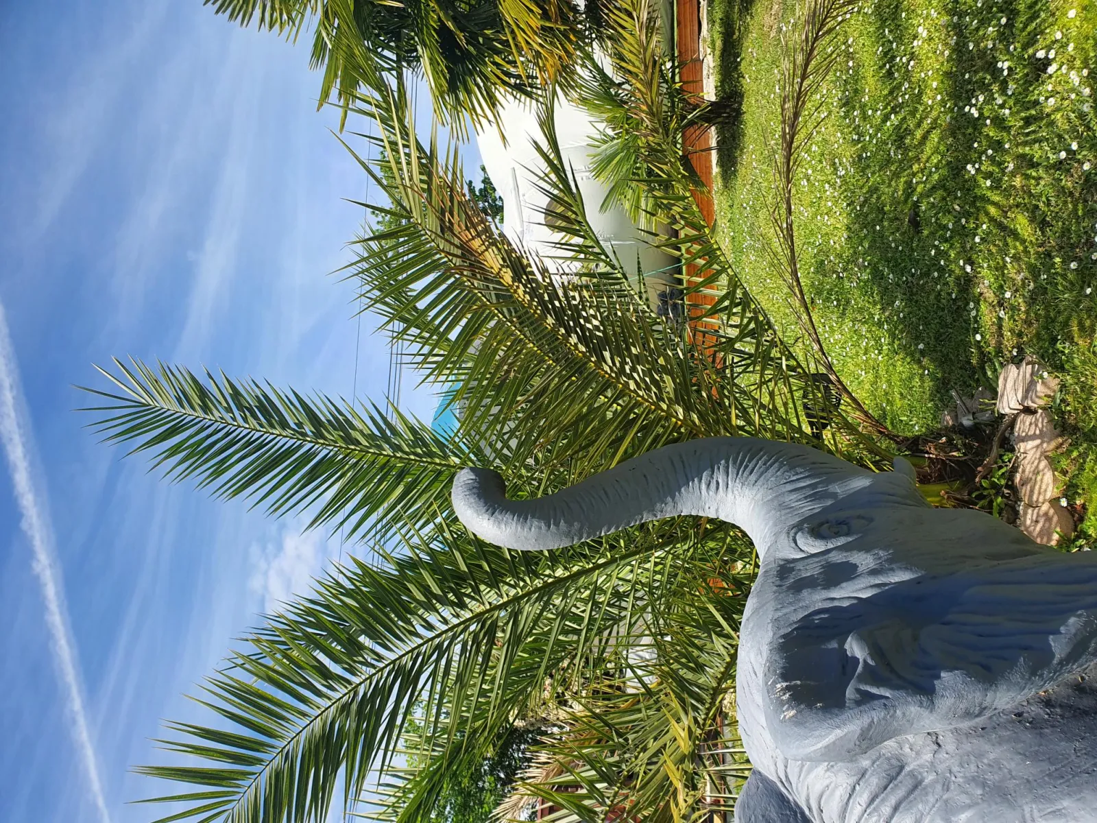 Bali Bulle - photo 10 sur 15