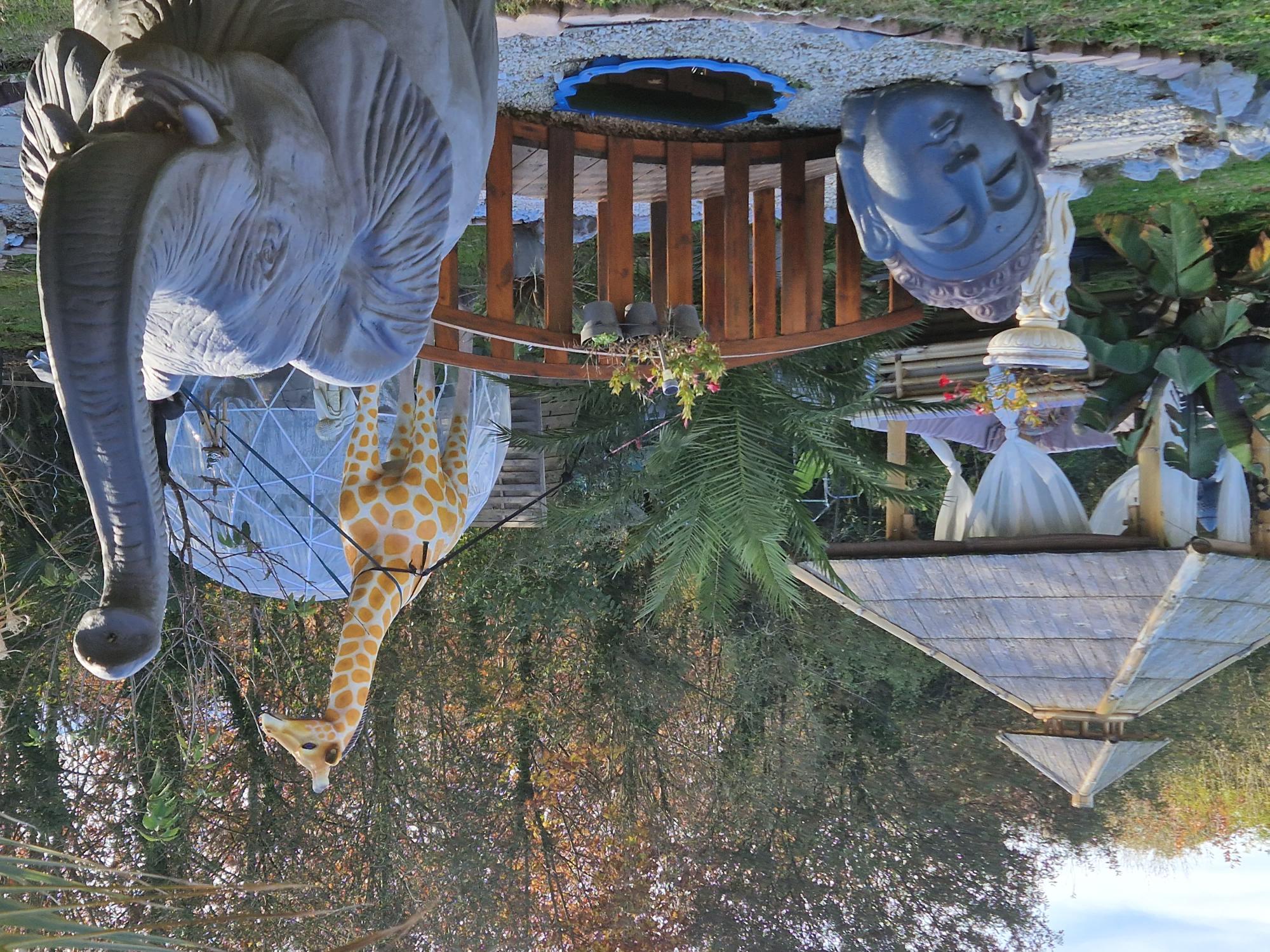 Bali Bulle – photo 14 sur 15