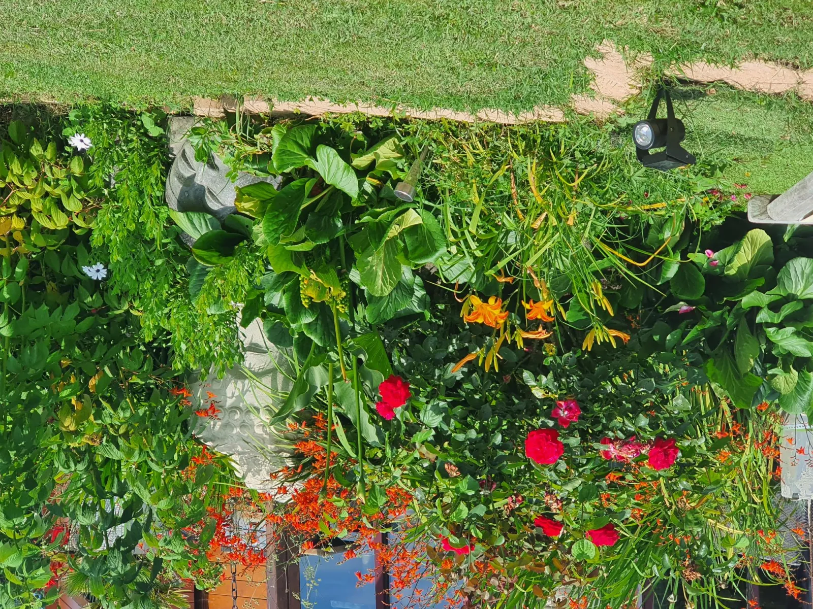 Bali Bulle - photo 15 sur 15