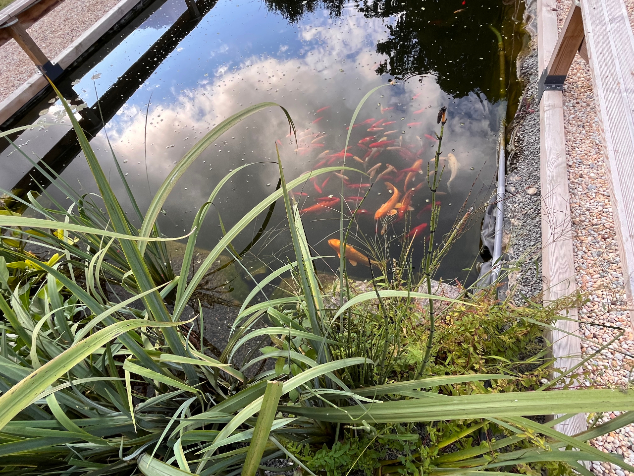 Bubble Jade – photo 12 sur 40