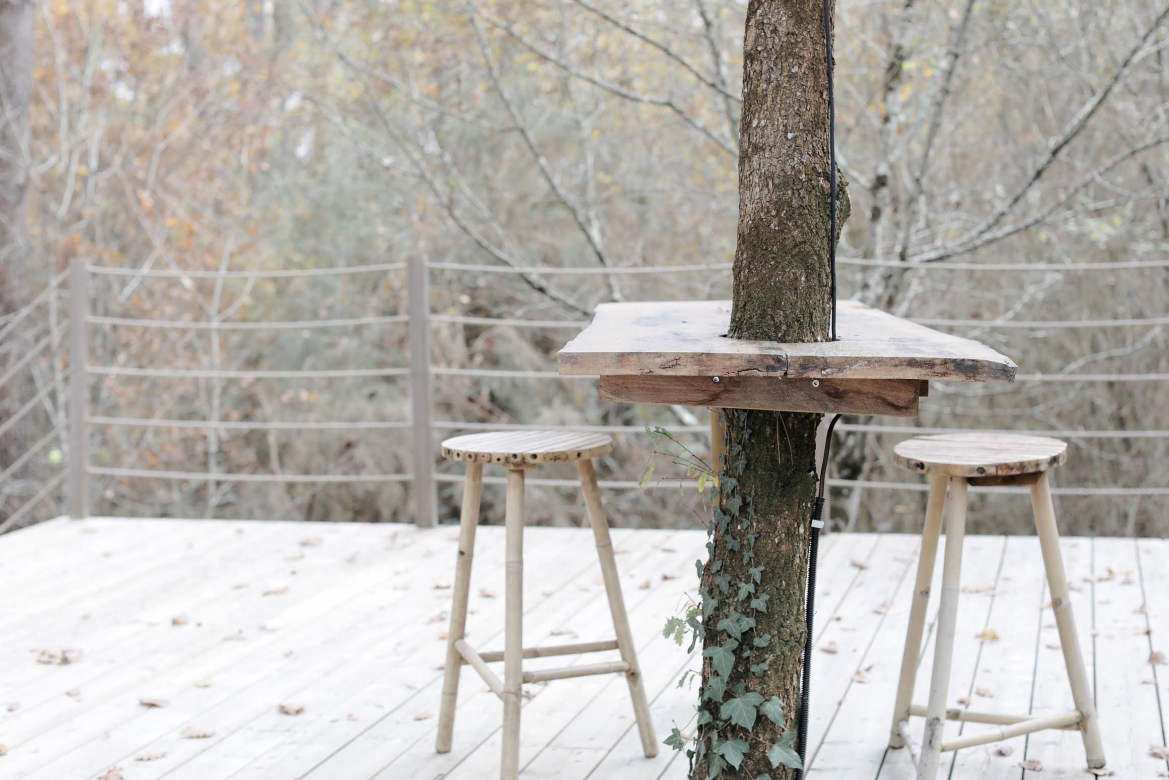 Bulle Cabernet & Spa – photo 10 sur 13