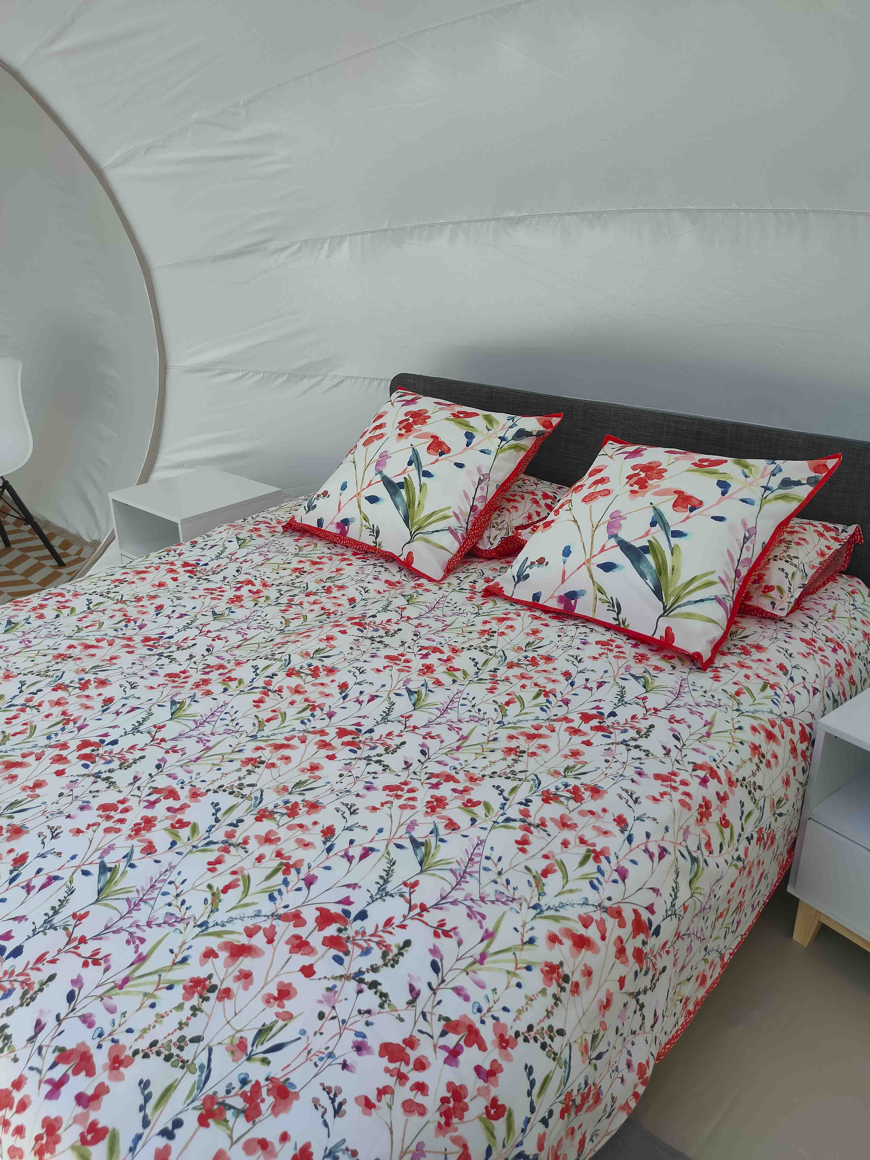 Bulle Cassiopée – photo 9 sur 15