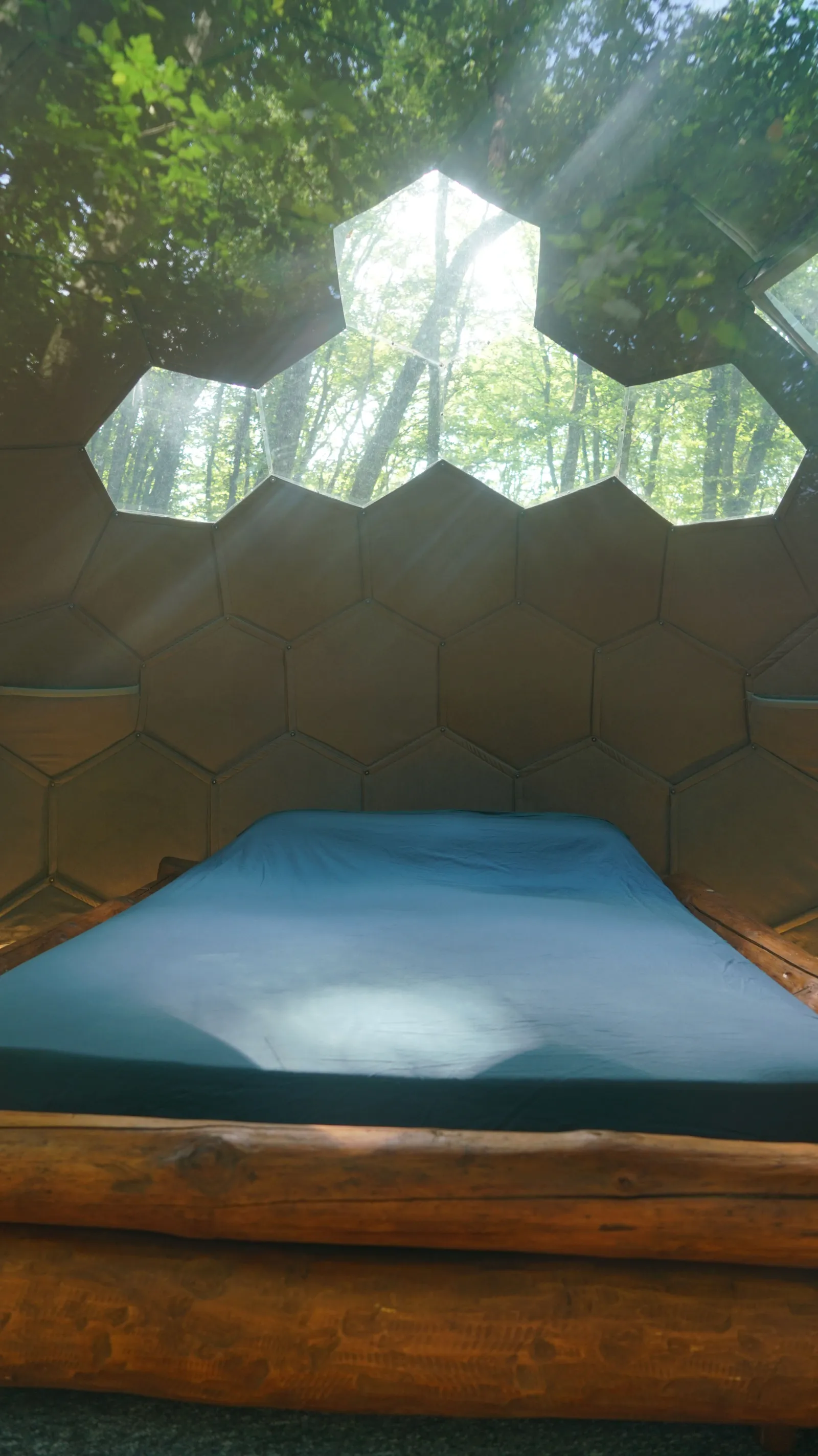 Bulle au cœur des bois - Royaume des Textures - photo 6 sur 15