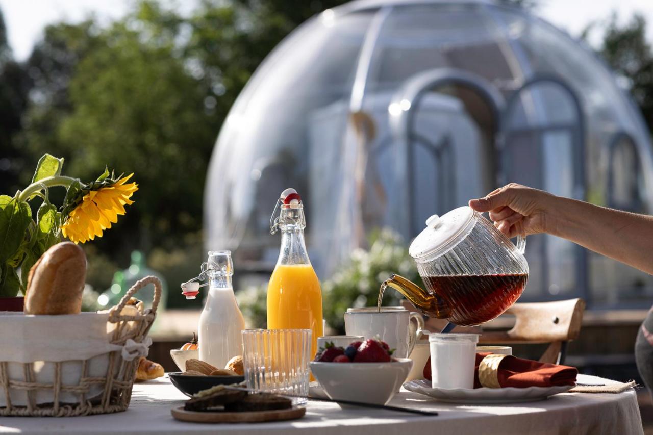 Chambre bulle sous les étoiles à Saint-Aulaire