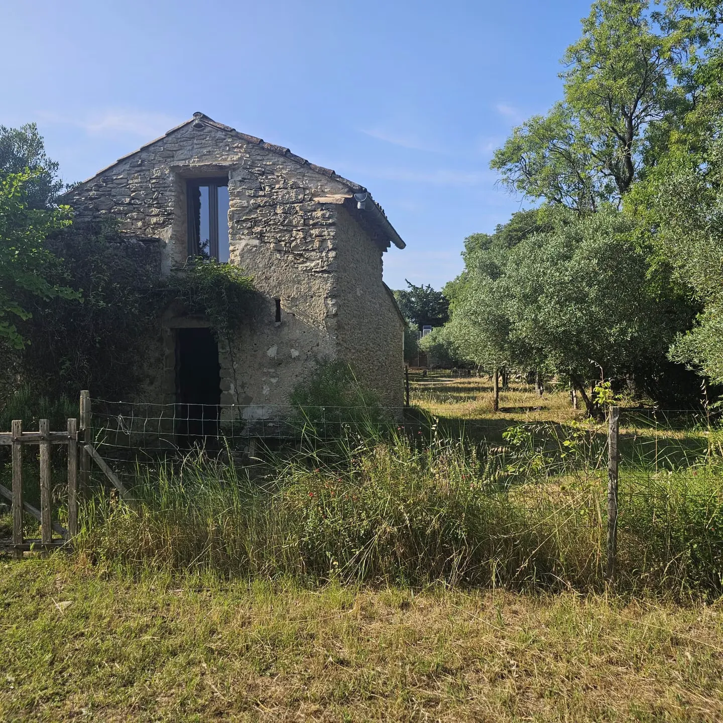 Bulle de Nuit en Provence - photo 7 sur 8