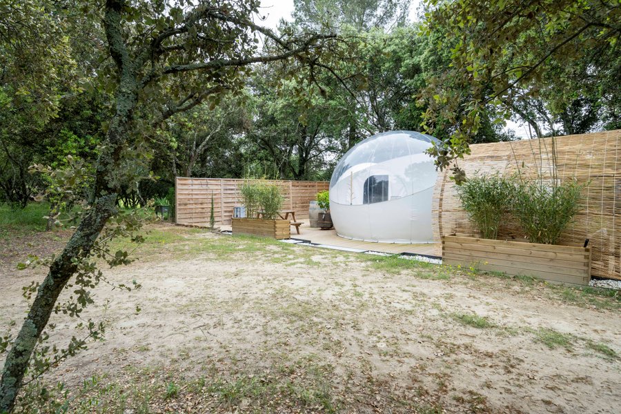 Bulle de Nuit - SomNid'Bulle – photo 6 sur 17