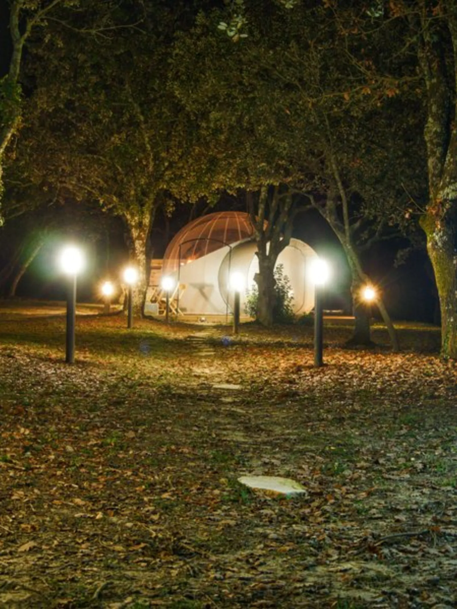 Bulle de Nuit - SomNid'Bulle - photo 17 sur 17
