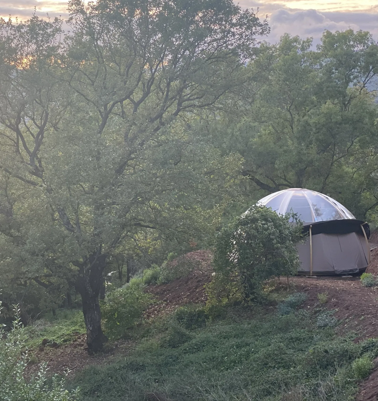 Chambre bulle sous les étoiles à La Tour Sur Orb