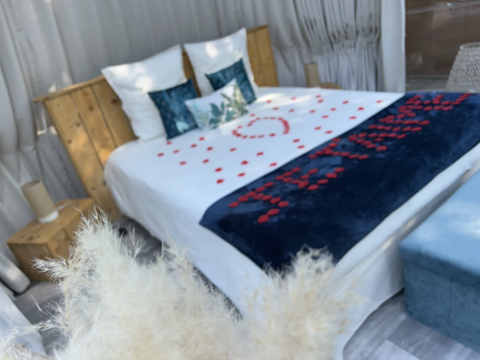Bulle DODO LODGE - 1 - photo 8 sur 14