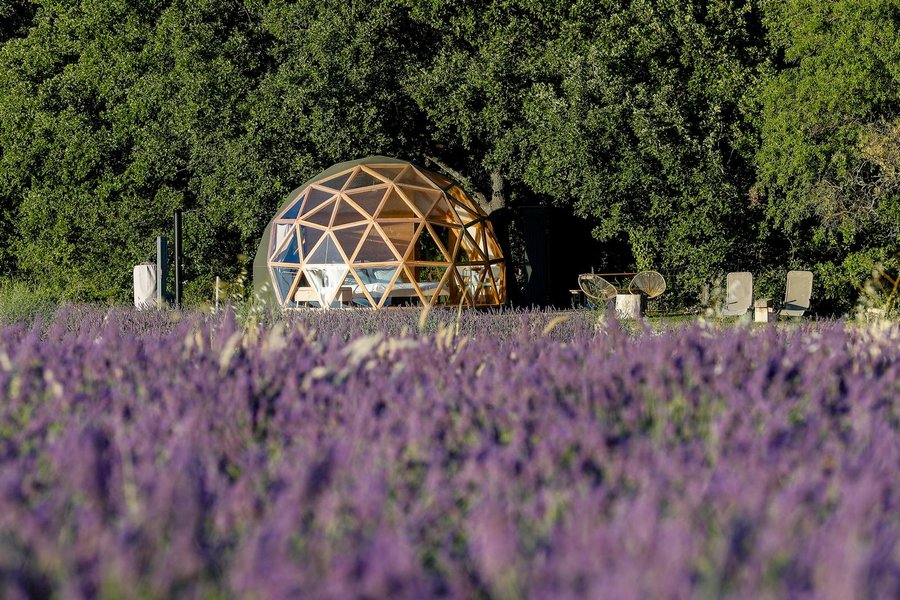 La Bulle du Lavandin : Dôme en Provence-Alpes-Côte d'Azur – dôme à Aix-En-Provence, Bouches-du-Rhône