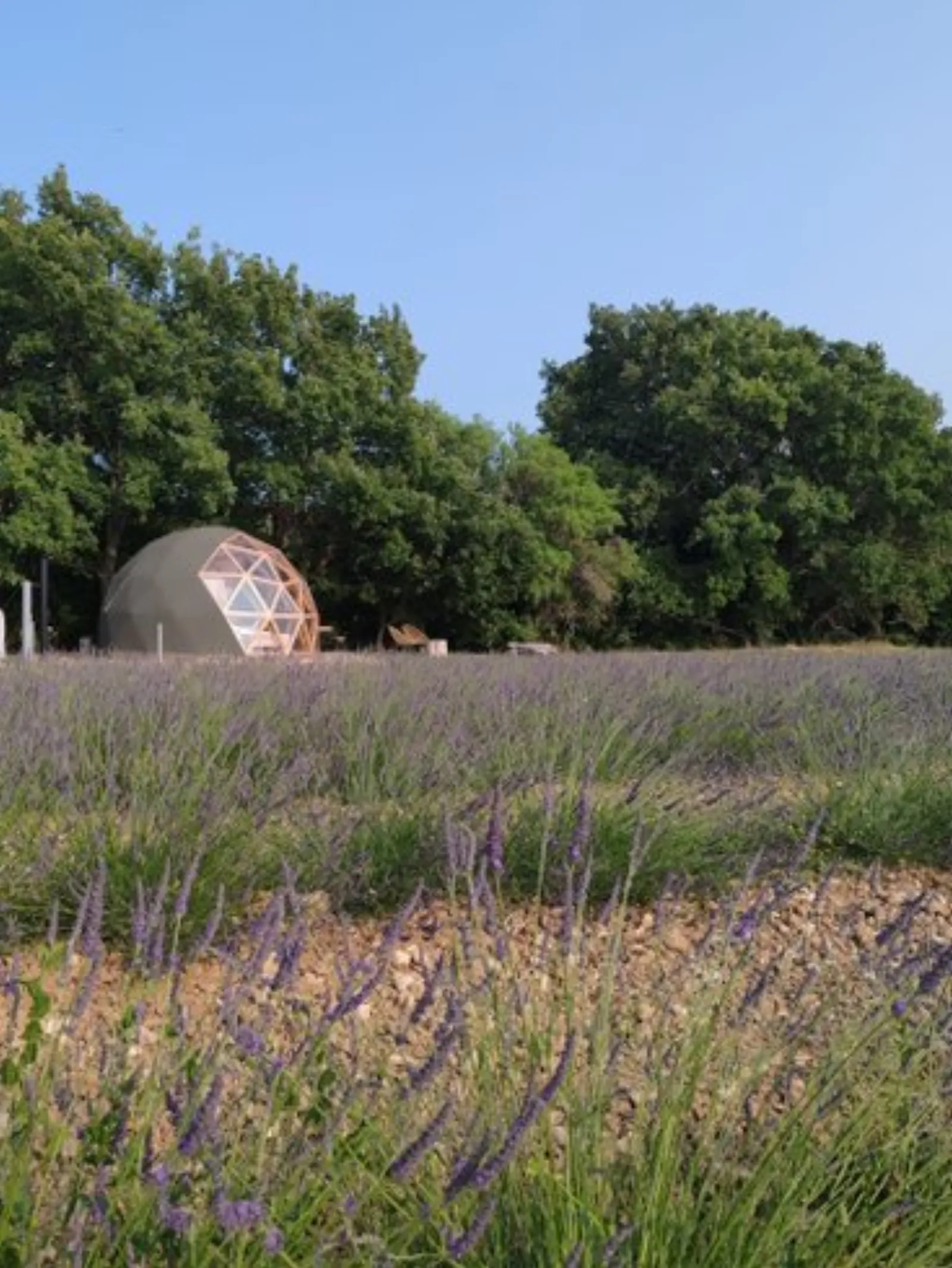 dôme insolite Bouches-du-Rhône - photo 5