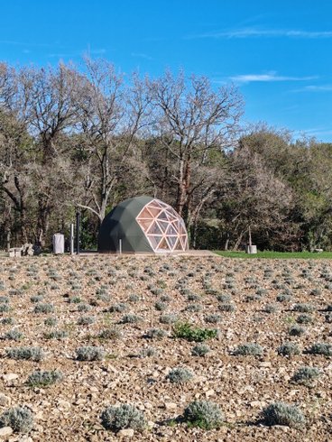 La Bulle du Lavandin : Dôme en Provence-Alpes-Côte d'Azur – photo 10 sur 16