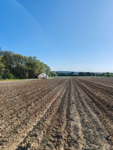 La Bulle du Lavandin : Dôme en Provence-Alpes-Côte d'Azur – photo 15 sur 16