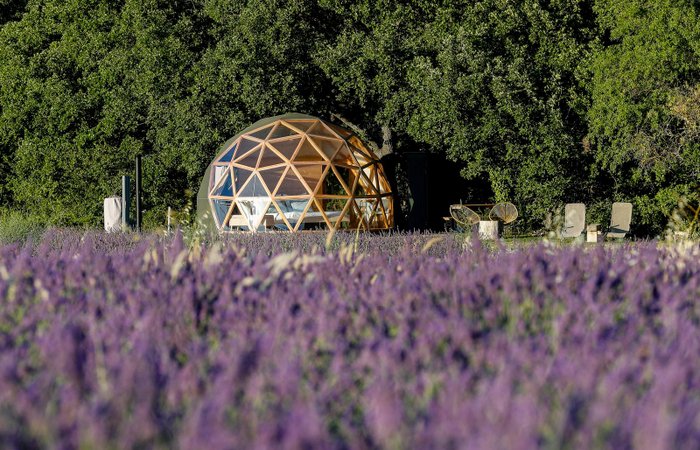 La Bulle du Lavandin : Dôme en Provence-Alpes-Côte d'Azur – photo 16 sur 16