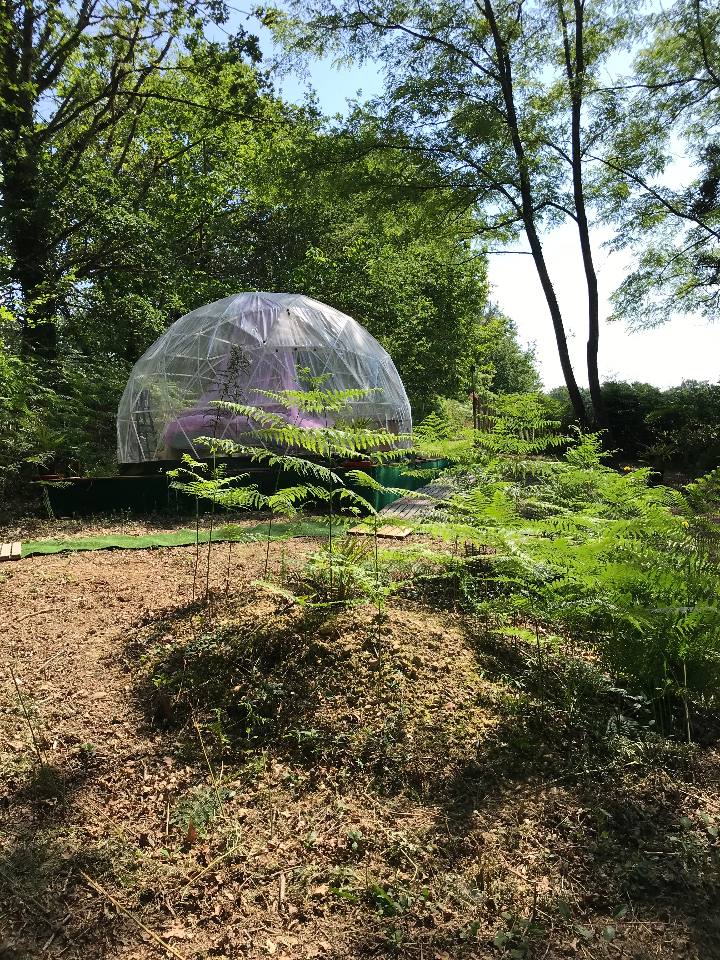 Chambre dôme sous les étoiles à Saint-Sever